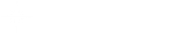 trippin logo